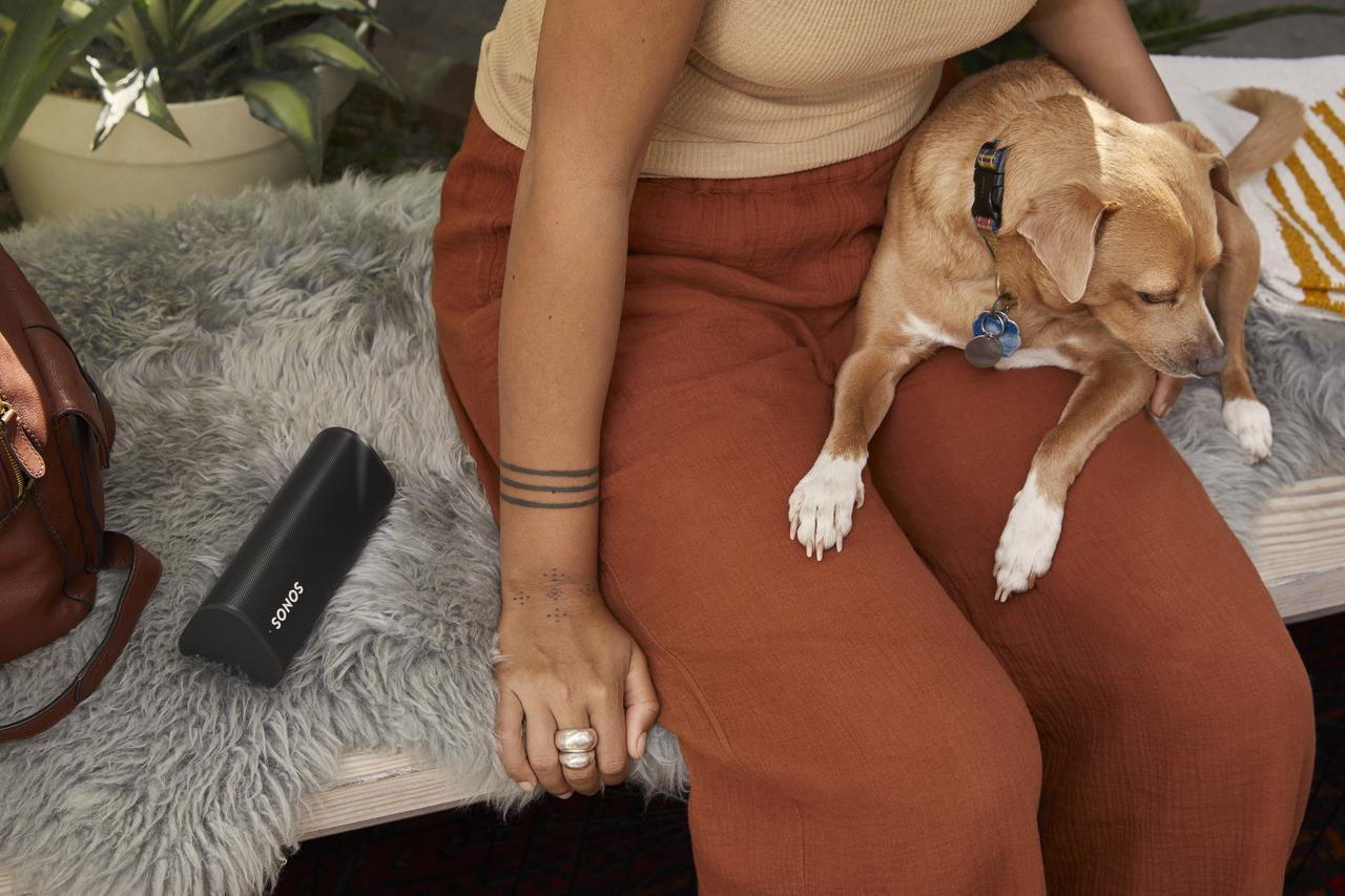 Roam_Lifestyle_Black_Dog_01-1